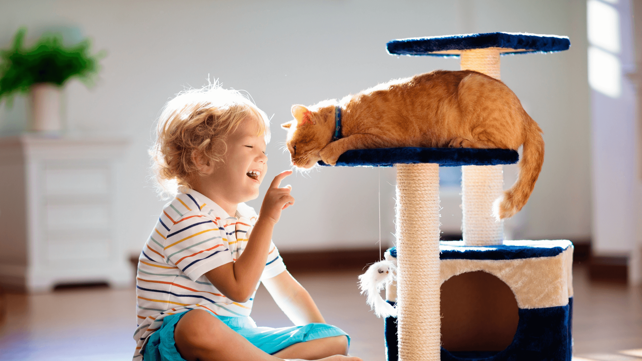 How to Maintain a Clean Home with Kids and Pets: Tips for Busy Families