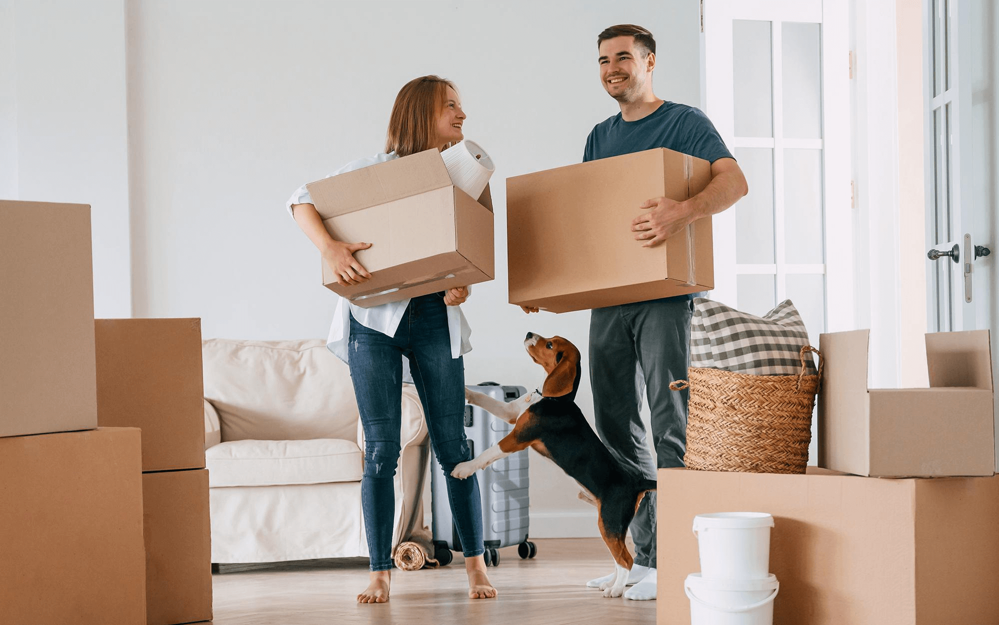 Move in - Move out-img